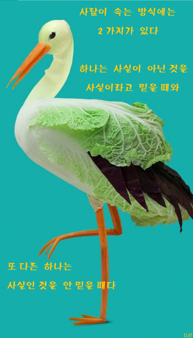 bc9d38e0275bcc6a122ef0a42203bc30_1643076986_708.png