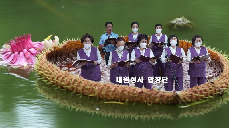 0fe89d98d3d3a2b939f6ebbc5289aac3_1656885250_0908.jpg